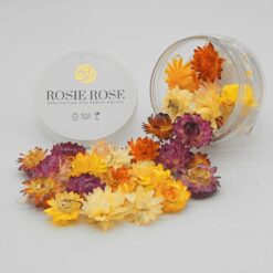 Alternative view of Special Blüten Strohblumen Mix 15 Stk.