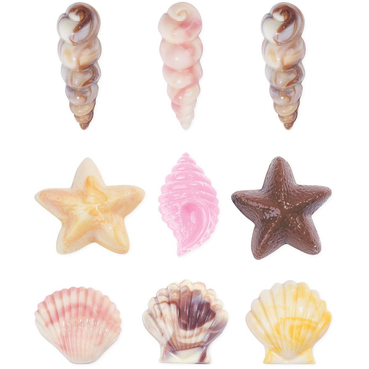 Candy Mould Seashells – Bild 2