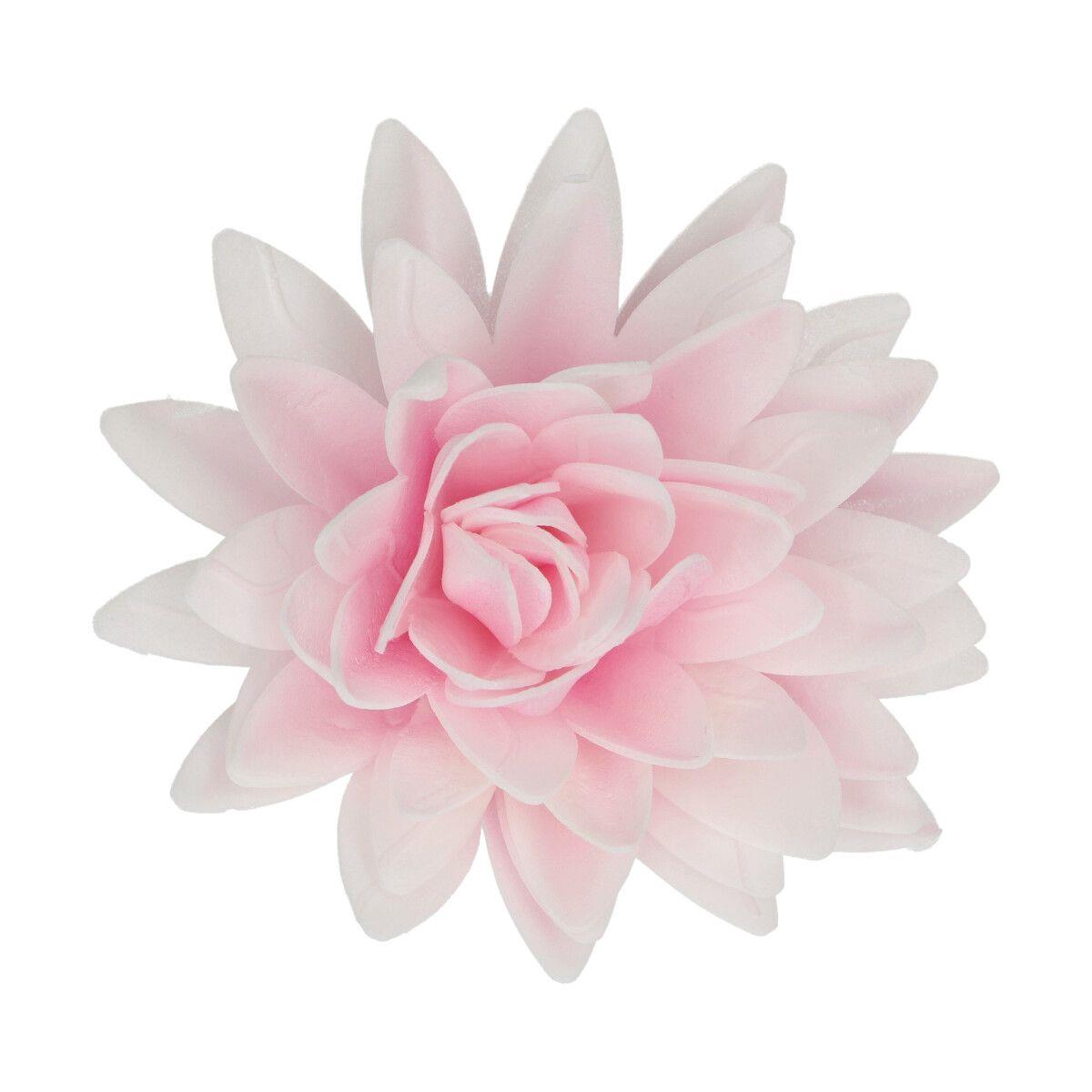 Esspapierblume Deluxe Pfingstrose, Rosa Ombre – Bild 3