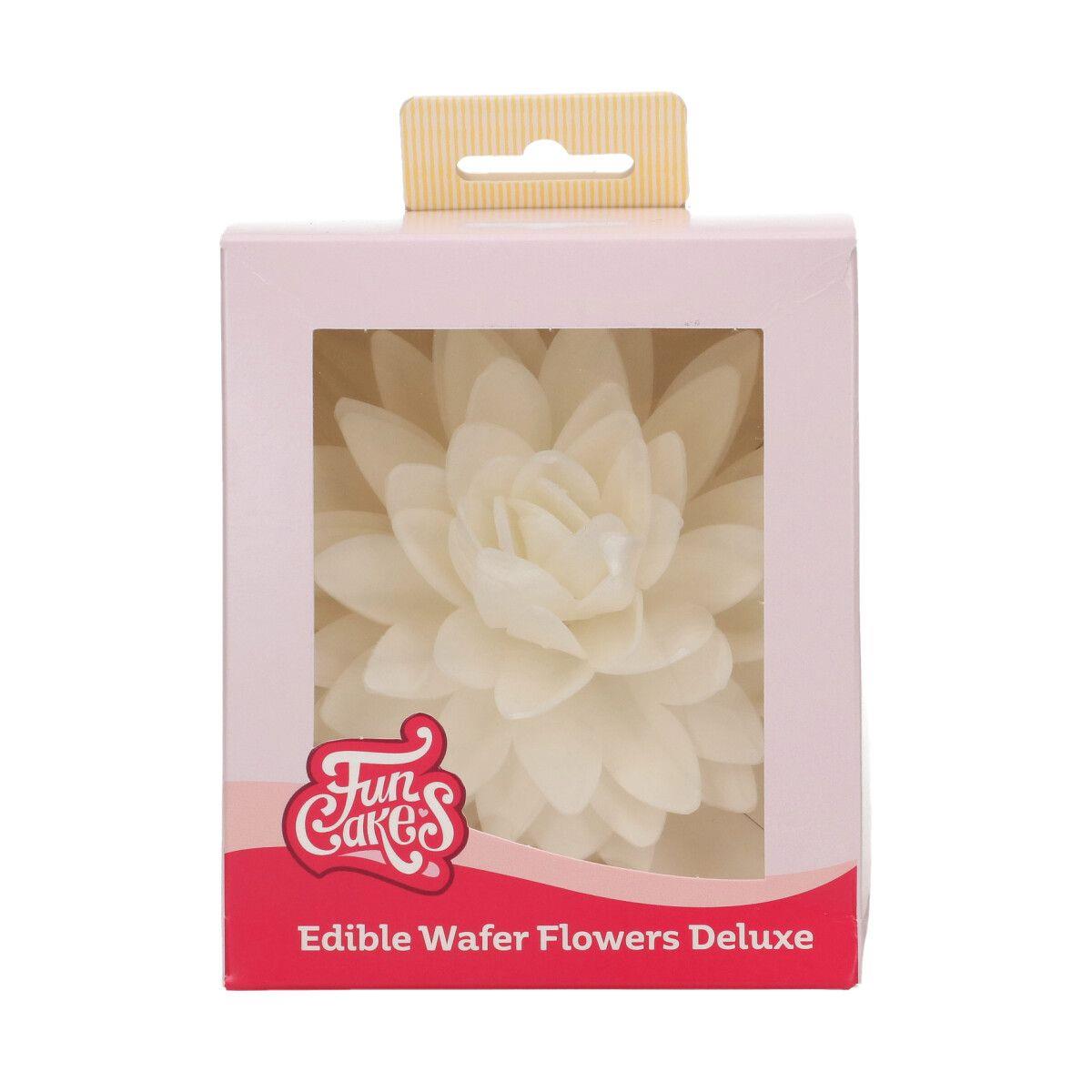 Esspapierblume Deluxe Pfingstrose, Weiss