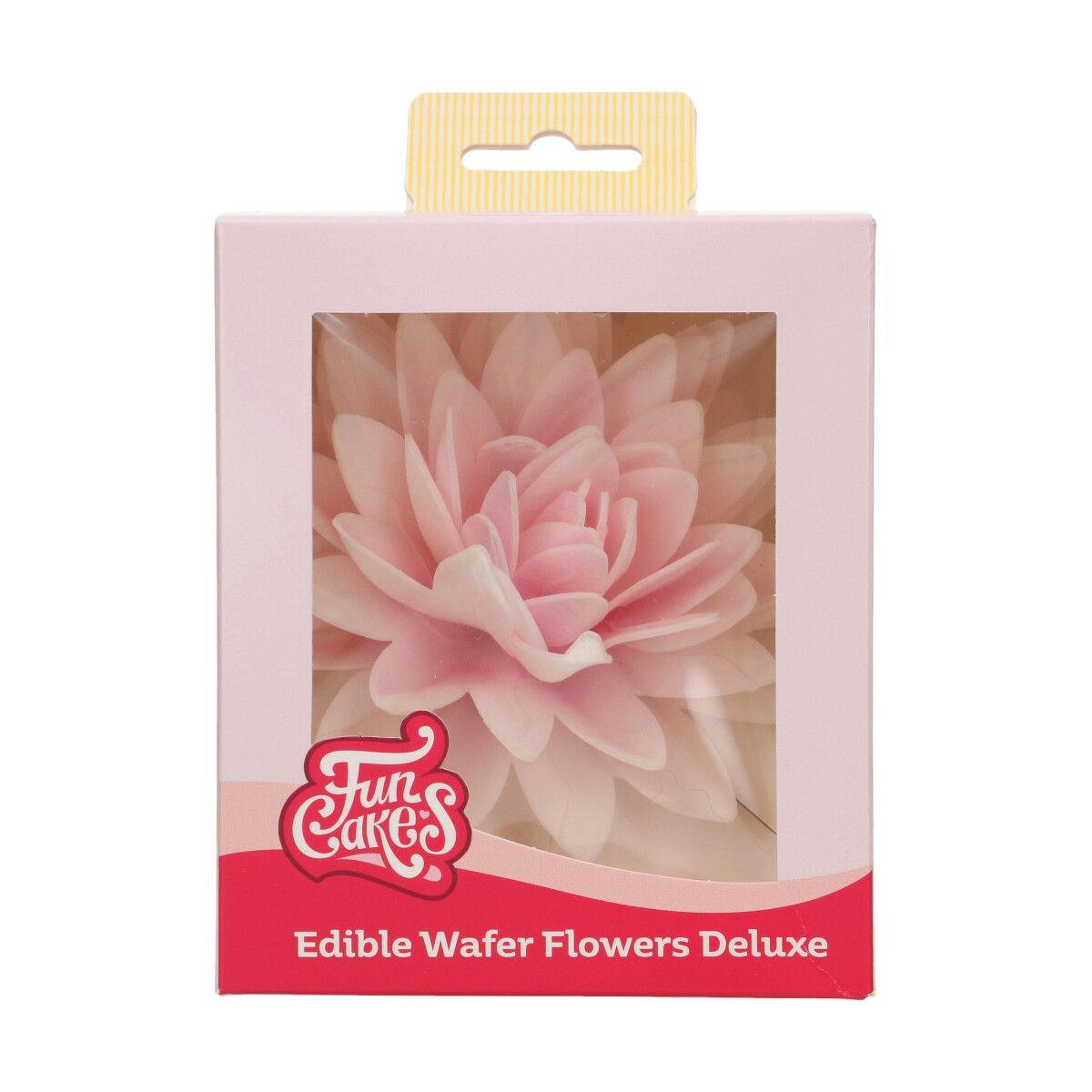 Esspapierblume Deluxe Pfingstrose, Rosa Ombre